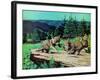 Cubs at Play-Stan Galli-Framed Giclee Print