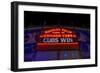 Cubs Win-Steve Gadomski-Framed Photographic Print