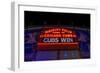 Cubs Win-Steve Gadomski-Framed Photographic Print