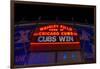 Cubs Win-Steve Gadomski-Framed Photographic Print