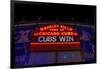 Cubs Win-Steve Gadomski-Framed Photographic Print