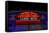 Cubs Win-Steve Gadomski-Framed Stretched Canvas