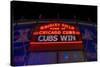 Cubs Win-Steve Gadomski-Stretched Canvas