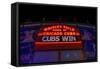 Cubs Win-Steve Gadomski-Framed Stretched Canvas