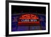 Cubs Win-Steve Gadomski-Framed Photographic Print