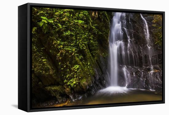 Cucharillos Waterfall in the Mashpi Cloud Forest Area of the Choco Rainforest, Ecuador-Matthew Williams-Ellis-Framed Stretched Canvas