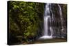 Cucharillos Waterfall in the Mashpi Cloud Forest Area of the Choco Rainforest, Ecuador-Matthew Williams-Ellis-Stretched Canvas
