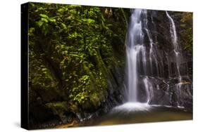 Cucharillos Waterfall in the Mashpi Cloud Forest Area of the Choco Rainforest, Ecuador-Matthew Williams-Ellis-Stretched Canvas