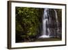 Cucharillos Waterfall in the Mashpi Cloud Forest Area of the Choco Rainforest, Ecuador-Matthew Williams-Ellis-Framed Photographic Print