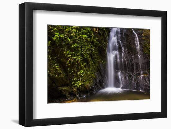 Cucharillos Waterfall in the Mashpi Cloud Forest Area of the Choco Rainforest, Ecuador-Matthew Williams-Ellis-Framed Photographic Print