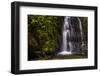 Cucharillos Waterfall in the Mashpi Cloud Forest Area of the Choco Rainforest, Ecuador-Matthew Williams-Ellis-Framed Photographic Print