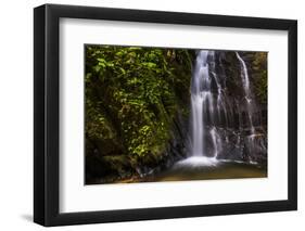 Cucharillos Waterfall in the Mashpi Cloud Forest Area of the Choco Rainforest, Ecuador-Matthew Williams-Ellis-Framed Photographic Print