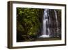 Cucharillos Waterfall in the Mashpi Cloud Forest Area of the Choco Rainforest, Ecuador-Matthew Williams-Ellis-Framed Photographic Print