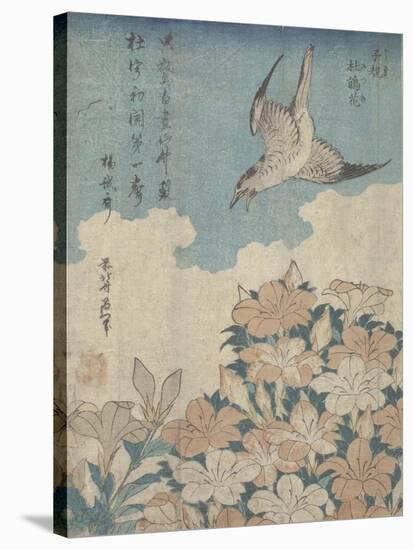 Cuckoo and Azalea-Katsushika Hokusai-Stretched Canvas