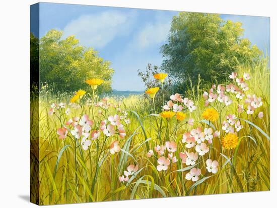 Cuckoo Flowers-Mary Dipnall-Stretched Canvas