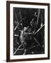 Cuckoo in the Nest-null-Framed Photographic Print
