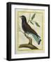 Cuckoo Roller-Georges-Louis Buffon-Framed Giclee Print