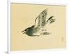 Cuckoo-Bairei Kono-Framed Giclee Print