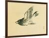Cuckoo-Bairei Kono-Framed Giclee Print