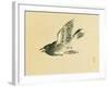 Cuckoo-Bairei Kono-Framed Giclee Print