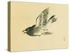 Cuckoo-Bairei Kono-Stretched Canvas