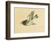 Cuckoo-Bairei Kono-Framed Giclee Print