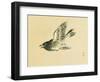 Cuckoo-Bairei Kono-Framed Giclee Print