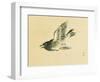 Cuckoo-Bairei Kono-Framed Giclee Print