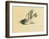 Cuckoo-Bairei Kono-Framed Giclee Print