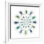 Cucular Design of Colorful Weevils Eupholus in Curculionidae Family-Darrell Gulin-Framed Photographic Print