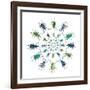 Cucular Design of Colorful Weevils Eupholus in Curculionidae Family-Darrell Gulin-Framed Photographic Print