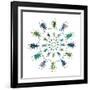 Cucular Design of Colorful Weevils Eupholus in Curculionidae Family-Darrell Gulin-Framed Photographic Print