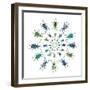 Cucular Design of Colorful Weevils Eupholus in Curculionidae Family-Darrell Gulin-Framed Photographic Print