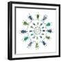 Cucular Design of Colorful Weevils Eupholus in Curculionidae Family-Darrell Gulin-Framed Photographic Print