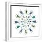 Cucular Design of Colorful Weevils Eupholus in Curculionidae Family-Darrell Gulin-Framed Photographic Print