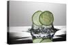 Cucumber FreshSplash-Steve Gadomski-Stretched Canvas