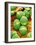 Cucumber Pollen, SEM-Susumu Nishinaga-Framed Photographic Print