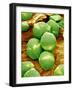 Cucumber Pollen, SEM-Susumu Nishinaga-Framed Photographic Print