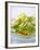 Cucumber Salad with a Chilli Dressing (Thailand)-null-Framed Photographic Print