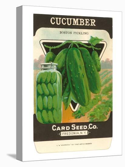 Cucumber Seed Packet-null-Stretched Canvas