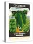 Cucumber Seed Packet-null-Stretched Canvas