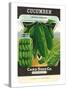 Cucumber Seed Packet-null-Stretched Canvas