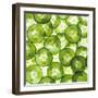 Cucumber Slices-Mark Sykes-Framed Premium Photographic Print