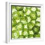 Cucumber Slices-Mark Sykes-Framed Premium Photographic Print