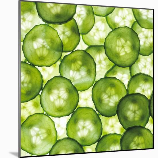 Cucumber Slices-Mark Sykes-Mounted Premium Photographic Print