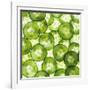 Cucumber Slices-Mark Sykes-Framed Photographic Print