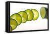 Cucumber-Frank May-Framed Stretched Canvas