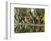 Cucuran, Provence, Vaucluse, France, Europe-Robert Cundy-Framed Photographic Print