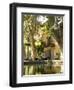 Cucuran, Provence, Vaucluse, France, Europe-Robert Cundy-Framed Photographic Print