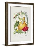 Cucurbitaceae, the Gourd Tribe, from Illustrations of the Natural Orders of Plants, 1849-1855-Elizabeth Twining-Framed Giclee Print